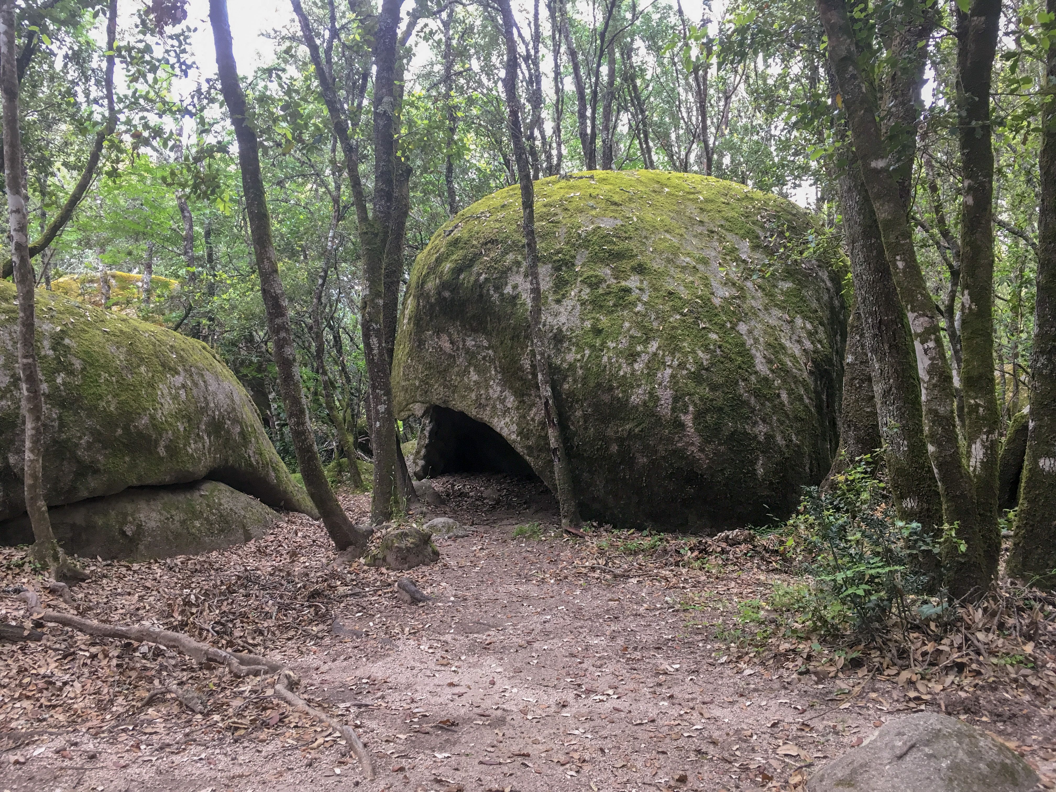 Corsica: The Land of Freedom Fighters and Statue Menhirs